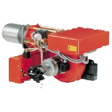 PRESS300P/Nȼ (riello)